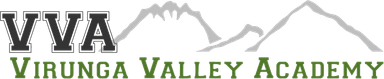 Verde Valley Academy Logo